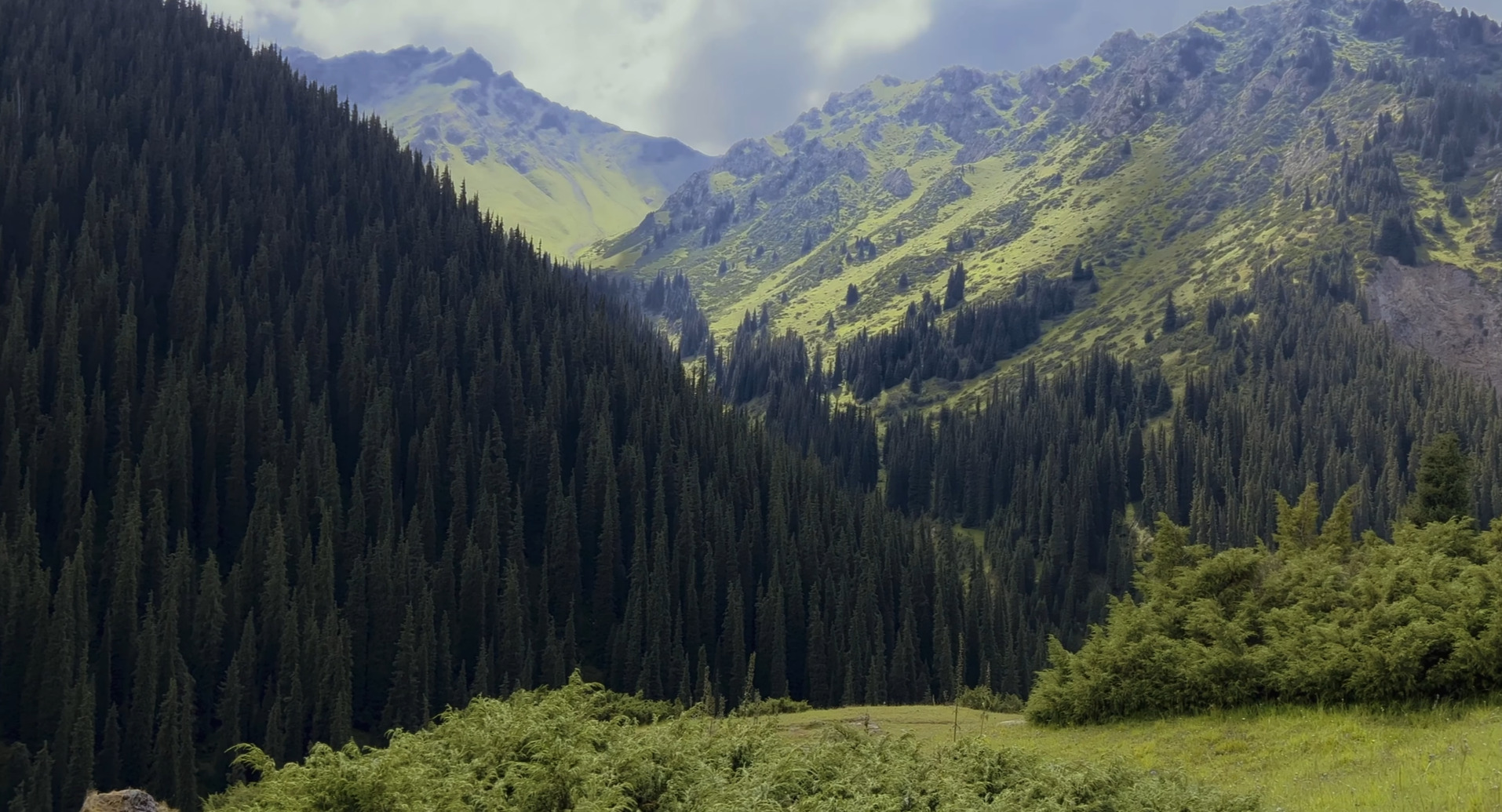 Altyn Arashan valley