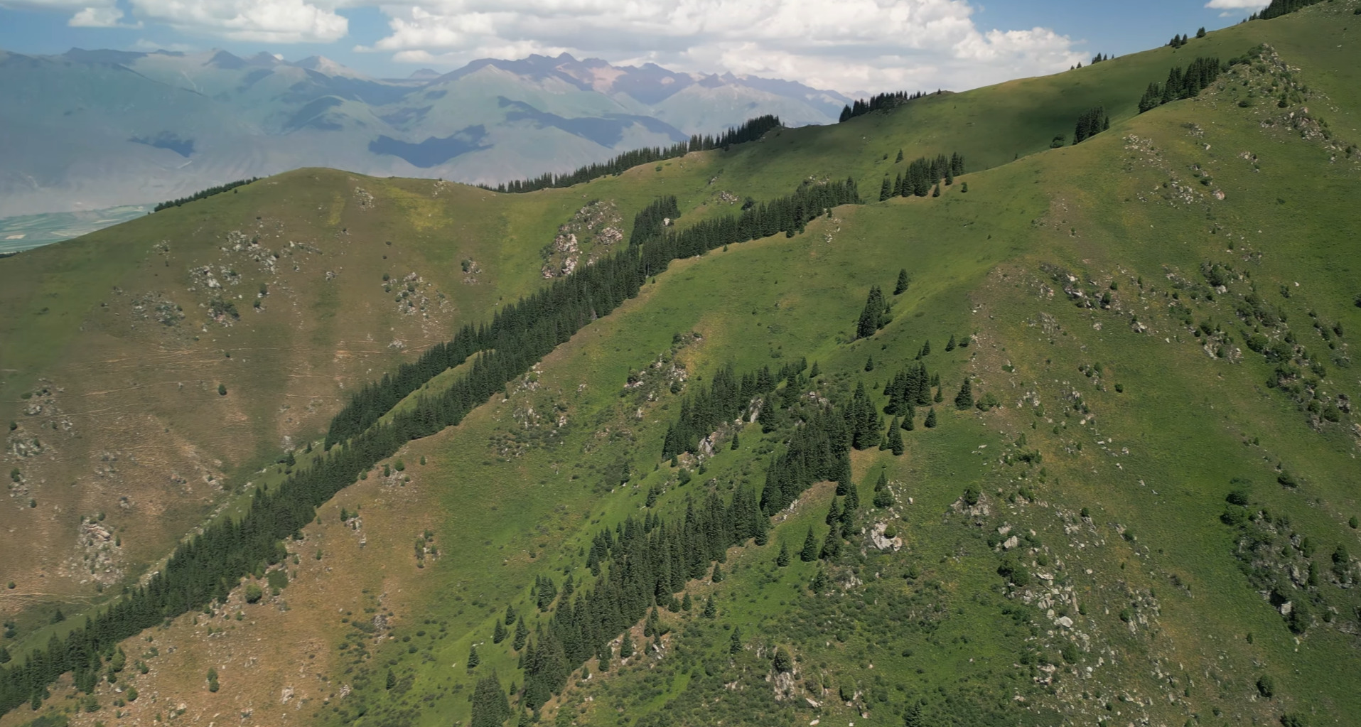 Chon Kemin Valley National Park, Kyrgyzstan