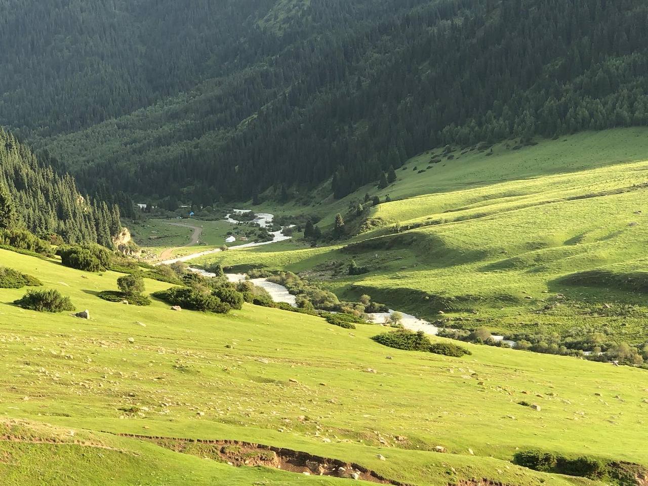 Grigoriev and Semenov Gorges