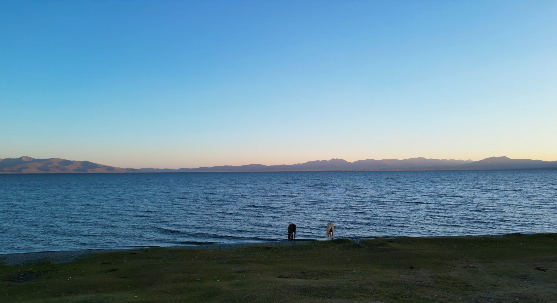 Song Kul. Horses